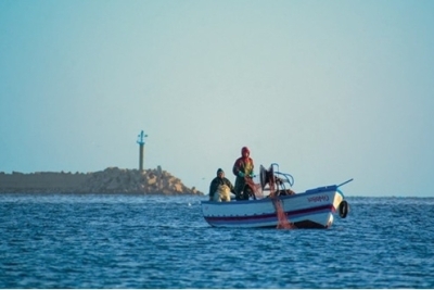 Call for Consultation: National Coordinator for the Development and Implementation of the Pilot NAP+ and Investment Plan in Montenegro