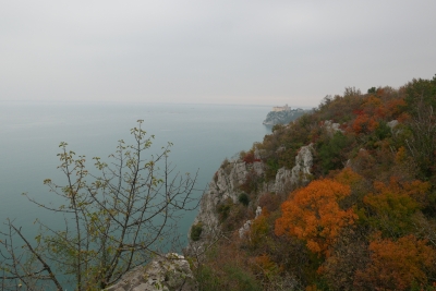 Call for Consultation: Development of a SPAMI Best Practices Tool on Co-Management and Governance