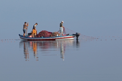 Call for Consultation: National Coordinator for the Development and Implementation of the Pilot NAP+ and Investment Plan in Tunisia Call for Consultation: National Coordinator for the Development and Implementation of the Pilot NAP+ and Investment Plan in Tunisia