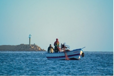 Call for Consultation: Elaboration of the National Action Plan Plus (NAP+) and Investment Plan for Tunisia Aligned with the Post-2020 SAPBIO Goals and Targets Call for Consultation: Elaboration of the National Action Plan Plus (NAP+) and Investment Plan for Tunisia Aligned with the Post-2020 SAPBIO Goals and Targets