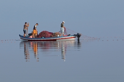 Appel à consultation : Élaboration du Plan d’Action National Plus (NAP+) et de son plan d’investissement pour la Tunisie, alignés sur les objectifs et cibles du SAPBIO Post-2020 Appel à consultation : Élaboration du Plan d’Action National Plus (NAP+) et de son plan d’investissement pour la Tunisie, alignés sur les objectifs et cibles du SAPBIO Post-2020