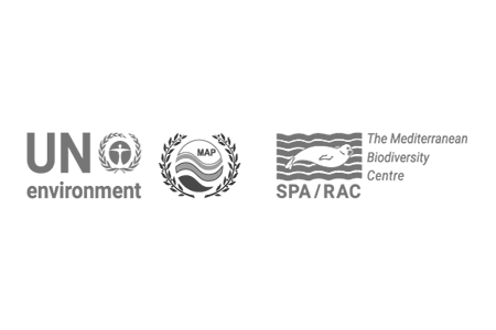 Call for consultation to update Libya’s IMAP Call for consultation to update Libya’s IMAP